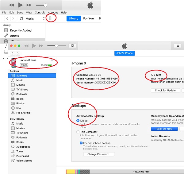 iPhone Summary Displayed on iTunes on Windows