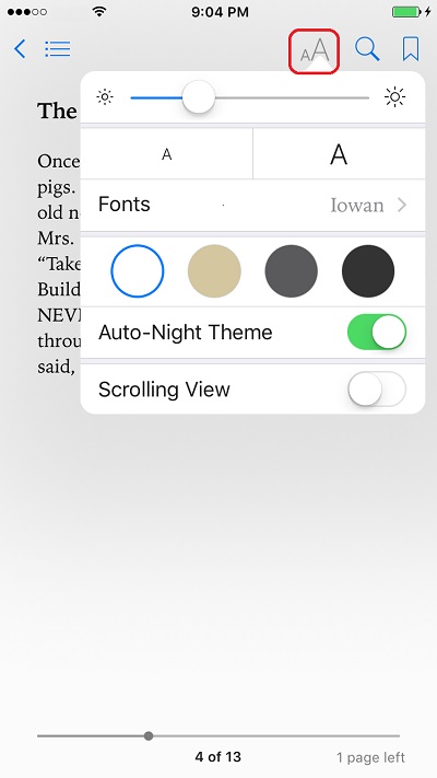 eBook Reading Options on iBooks
