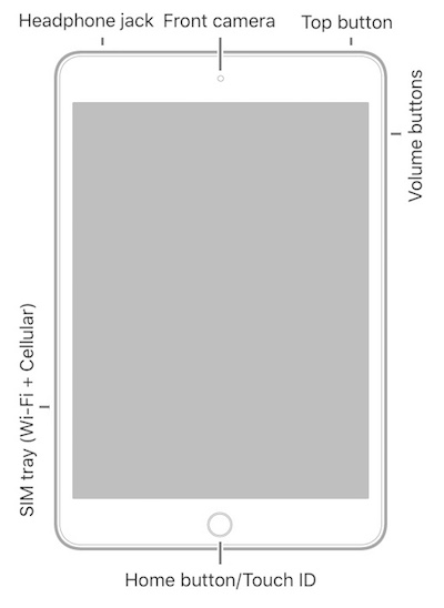 Locations of iPad Buttons and Switches