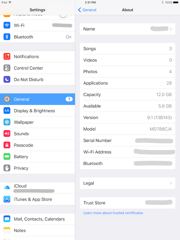 Settings > General > About Information on iPad