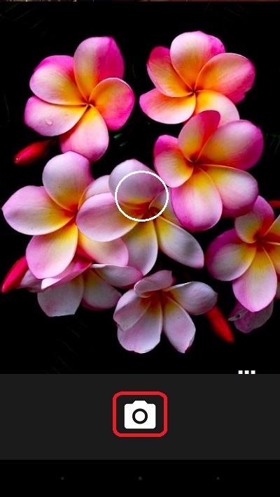 Take Picture with LG Phone Camera