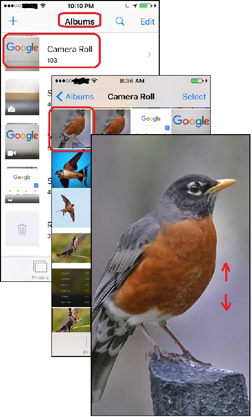 View and Zoom in a Photo in iPhone Photos App